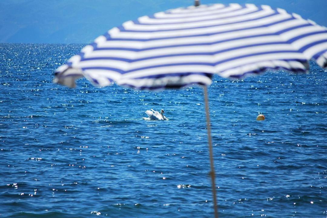 Villa Lakeview Paradise Peštani エクステリア 写真