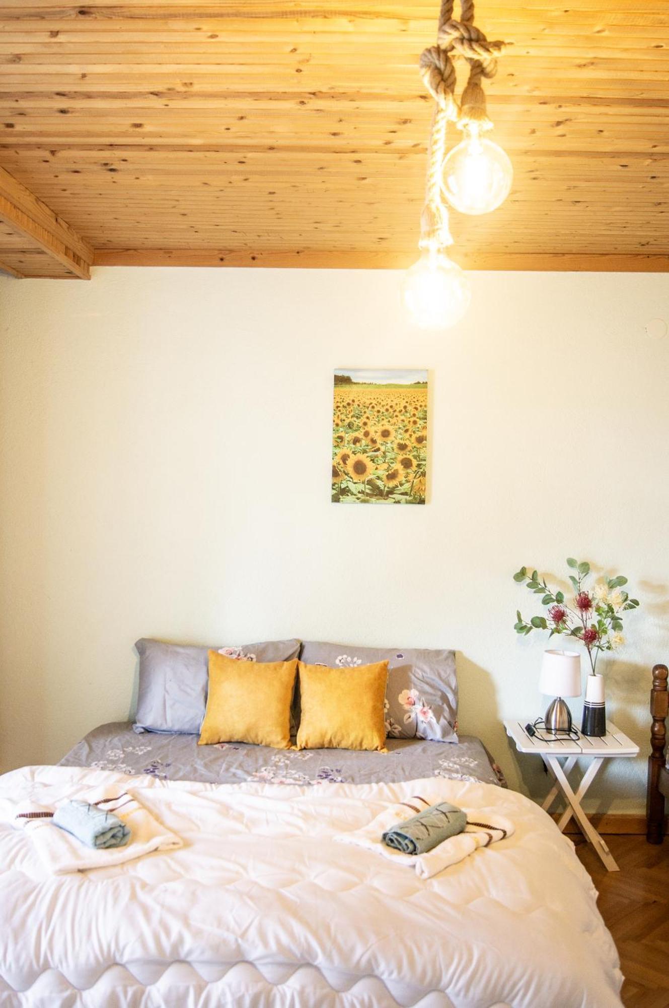 Villa Lakeview Paradise Peštani エクステリア 写真
