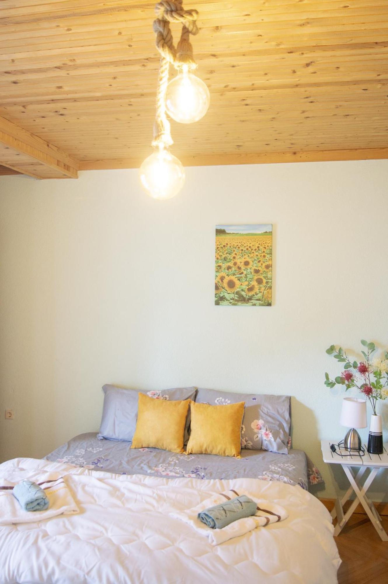 Villa Lakeview Paradise Peštani エクステリア 写真